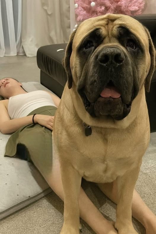 J0ven was hospitalized aft