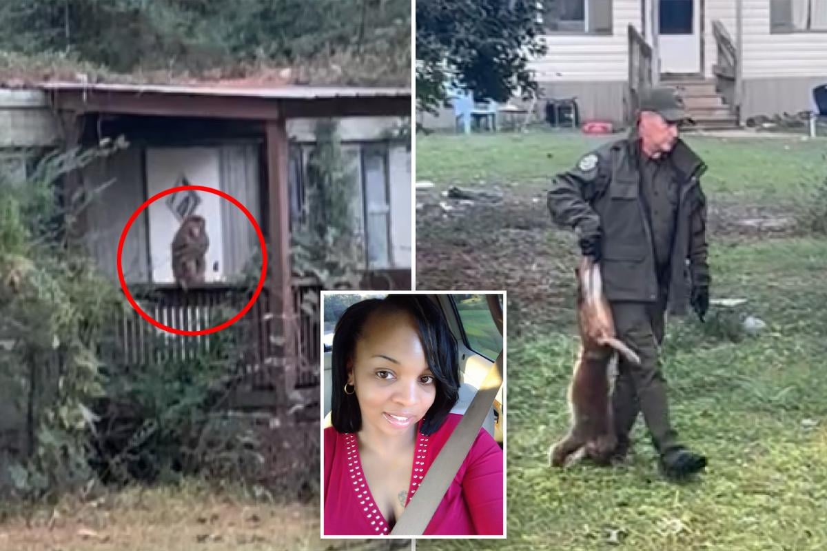 Mississippi mom shoots dead monkey that escaped from overturned truck to protect her children…See more