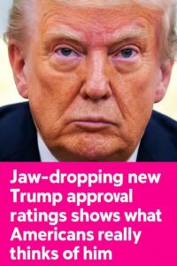 The Latest Trump Poll Update Is Surprising Even His Supporters