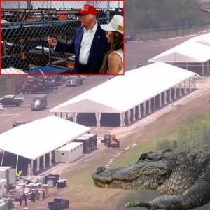 WATCH: A Look into ‘Alligator Alcatraz’ Illegal Alien Detention Facility