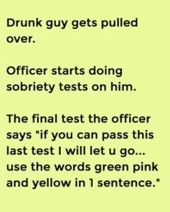 Drunk Driver Pulled Over After Failing Roadside Tests