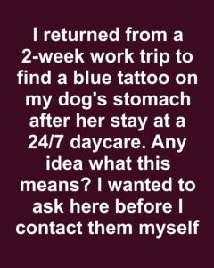Exploring Pet Tattoos: Popular Trends and Motivations