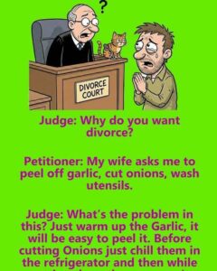A Man Wants a Divorce