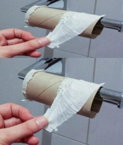 Is toilet paper coming to an end? It may soon take the place of our regular rolls.